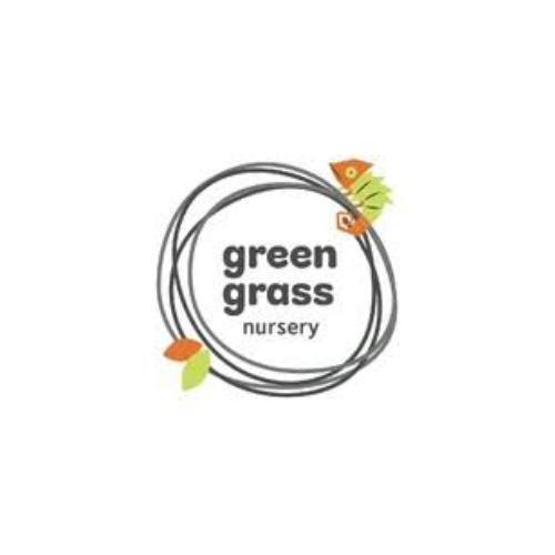 Preschool Teacher – Green Grass Nursery Dubai
